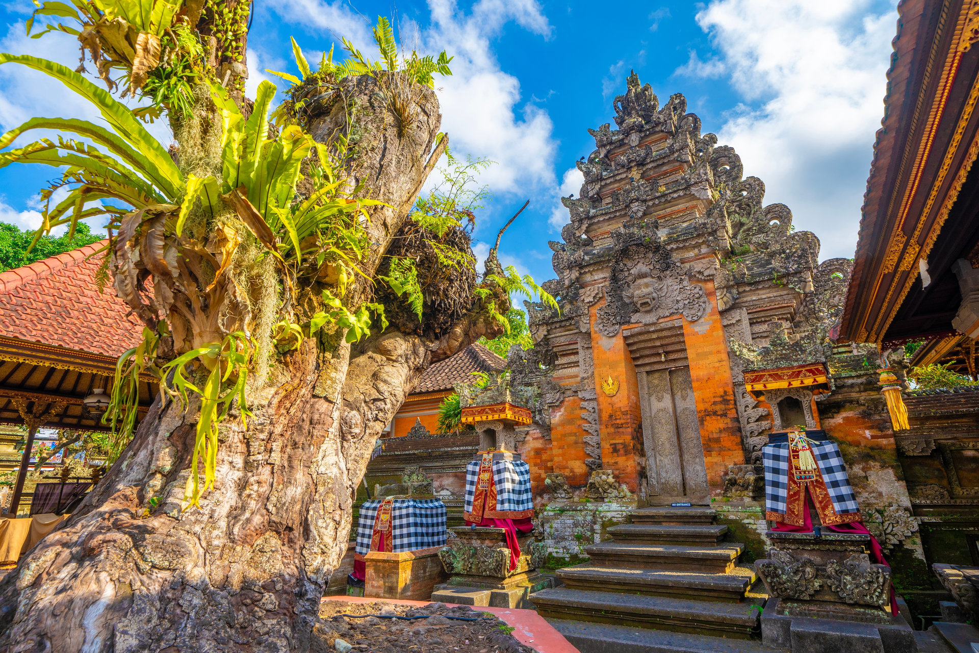 An 8-Day Expedition into Indonesia’s Most Mythic Waters