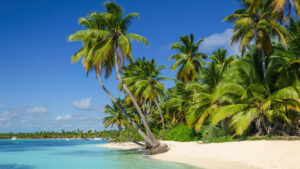 BAHAMAS AND THE CARIBBEAN