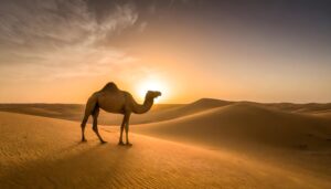 MIDDLE EAST