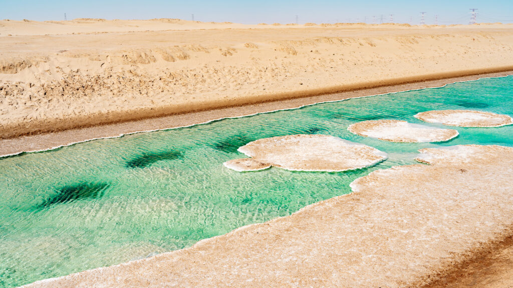 Al Wathba Salt Lake