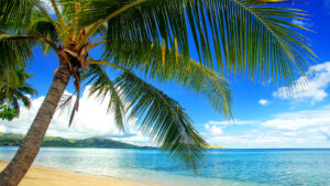 SOUTH PACIFIC